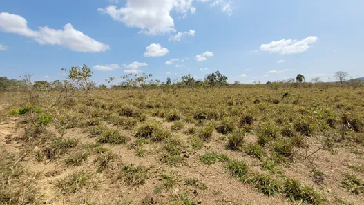 Fazenda / Sítio / Chácara com 3 Quartos à venda, 170000m² no , Padre Bernardo