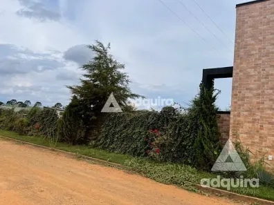 Fazenda / Sítio / Chácara com 1 Quarto à venda, 1897m² no Taquari dos Polacos, Ponta Grossa