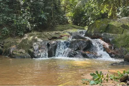 Fazenda / Sítio / Chácara à venda, 60m² no , Rio Bonito