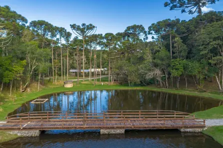 Fazenda / Sítio / Chácara à venda, 26000m² no Centro, Campina Grande do Sul