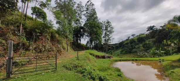 Fazenda / Sítio / Chácara com 4 Quartos à venda, 360000m² no Nossa Senhora do Amparo, Barra Mansa
