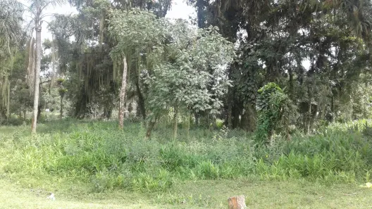 Terreno / Lote / Condomínio à venda, 94095m² no Alexandra, Paranaguá