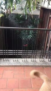 Casa de Condomínio com 4 Quartos à venda, 380m² no Inconfidência, Viçosa