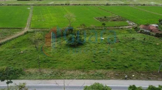 Terreno / Lote / Condomínio à venda, 7942m² no Centro, Massaranduba