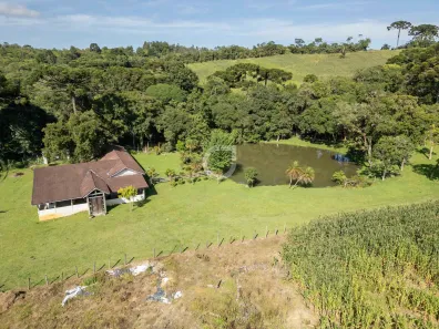 Fazenda / Sítio / Chácara com 3 Quartos à venda, 242000m² no , Campina Grande do Sul