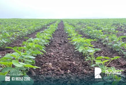 Fazenda / Sítio / Chácara à venda, 484m² no , Lagoa da Confusão