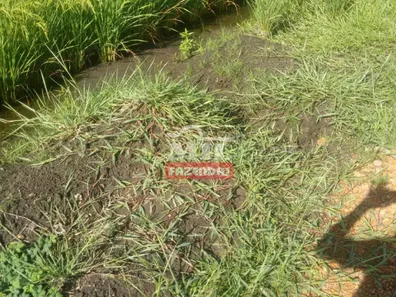 Fazenda / Sítio / Chácara com 3 Quartos à venda, 500m² no , Lagoa da Confusão