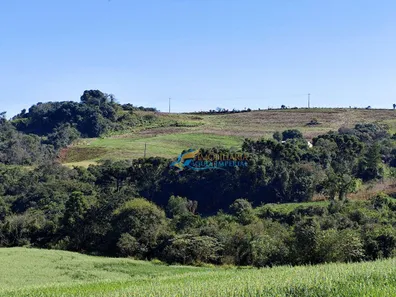Fazenda / Sítio / Chácara com 5 Quartos à venda, 140360m² no , Guaraniaçu