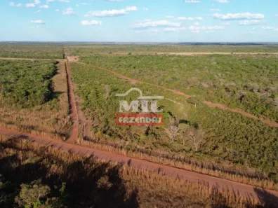 Fazenda / Sítio / Chácara à venda, 500m² no , Pium