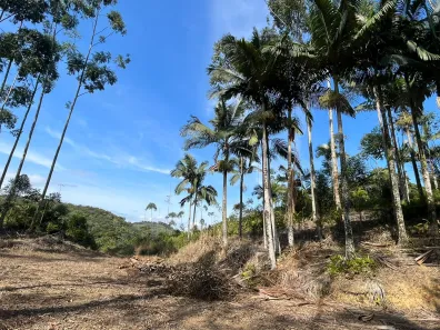 Fazenda / Sítio / Chácara à venda, 11000m² no Massaranduba, Massaranduba