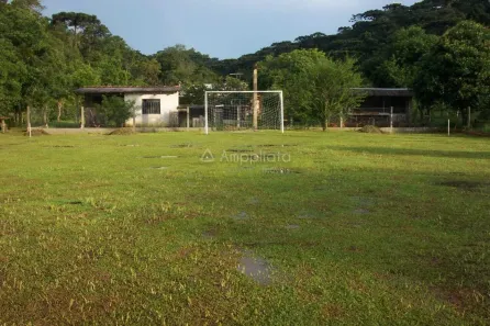 Fazenda / Sítio / Chácara com 3 Quartos à venda, 105m² no Área Rural, Campina Grande do Sul