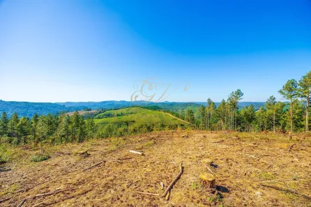 Fazenda / Sítio / Chácara com 1 Quarto à venda, 2693786m² no Centro, Campo Largo