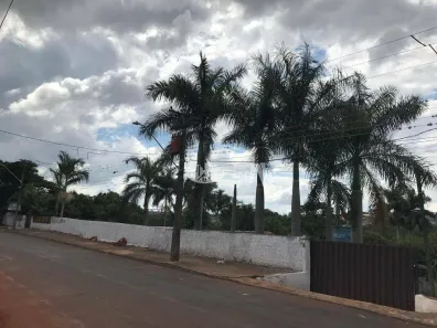 Fazenda / Sítio / Chácara com 4 Quartos à venda, 700m² no Chácaras Cambé Londrina, Cambé