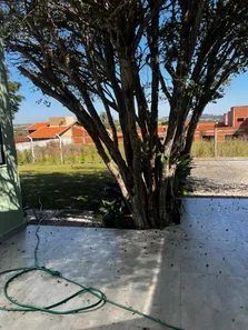Fazenda / Sítio / Chácara com 2 Quartos à venda, 302m² no Chácara Pesqueiro Roseira, Jaguariúna