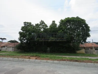 Fazenda / Sítio / Chácara à venda, 1900m² no Del Rey, São José dos Pinhais
