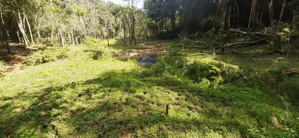 Fazenda / Sítio / Chácara com 3 Quartos à venda, 24200m² no , Contenda