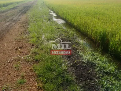 Fazenda / Sítio / Chácara com 3 Quartos à venda, 500m² no , Lagoa da Confusão