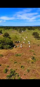 Fazenda / Sítio / Chácara à venda, 295000000m² no Área Rural de Formosa, Formosa