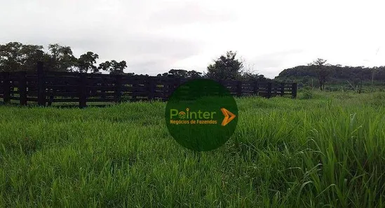 Fazenda / Sítio / Chácara à venda, 3660000m² no , Pedro Afonso