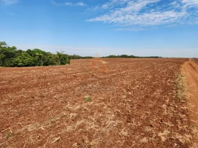 Fazenda / Sítio / Chácara com 1 Quarto à venda, 1452000m² no Jardim Quitandinha, Araraquara