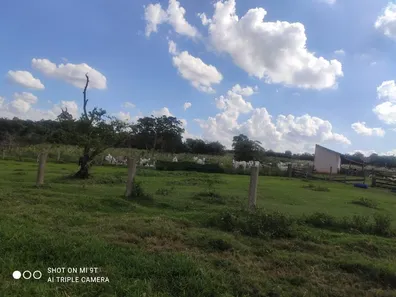 Fazenda / Sítio / Chácara com 4 Quartos à venda, 575000m² no , Alambari