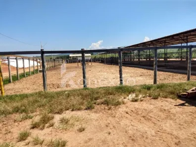 Fazenda / Sítio / Chácara com 2 Quartos à venda, 249m² no Chácara Marambaia, Caçapava