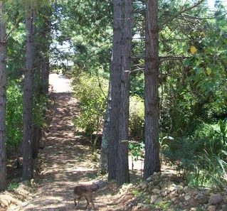 Fazenda / Sítio / Chácara com 3 Quartos à venda, 200m² no Centro, Pirapora do Bom Jesus