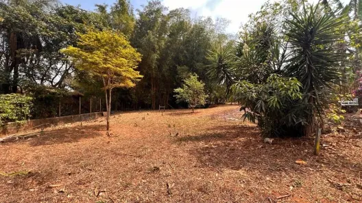 Fazenda / Sítio / Chácara com 3 Quartos à venda, 6758m² no Nossa Senhora da Paz, São Joaquim de Bicas