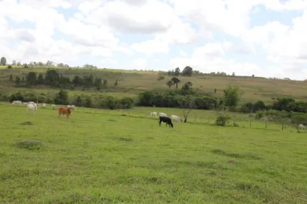 Fazenda / Sítio / Chácara à venda, 450000m² no Brazlândia, Brasília