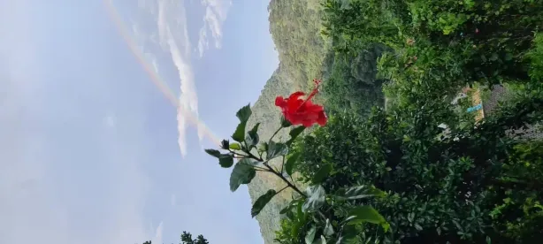 Fazenda / Sítio / Chácara com 7 Quartos à venda, 5500m² no Corujas, Guapimirim