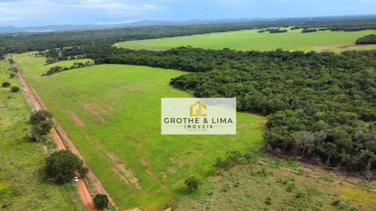 Fazenda / Sítio / Chácara com 5 Quartos à venda, 300m² no Jardim Tocantins, Gurupi