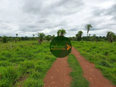 Fazenda / Sítio / Chácara com 3 Quartos à venda, 25748800m² no Parque Residencial Nova Fronteira, Gurupi