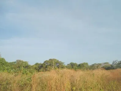 Terreno / Lote / Condomínio para alugar, 40000m² no PEDRA, Eusébio