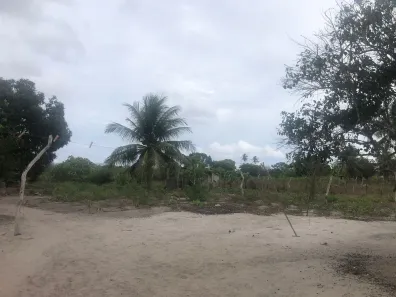 Fazenda / Sítio / Chácara com 3 Quartos à venda, 5500m² no , Vera Cruz