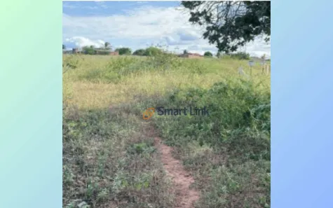 Terreno / Lote / Condomínio à venda, 41000m² no Mel de Baixo, Areia Branca