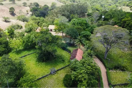 Fazenda / Sítio / Chácara à venda, 114000m² no Jardim Recreio, Conde