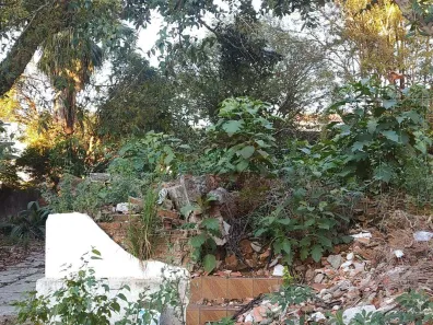 Terreno / Lote / Condomínio para venda ou aluguel, 660m² no Vila Morse, São Paulo