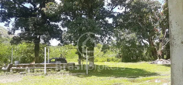 Fazenda / Sítio / Chácara com 8 Quartos à venda, 300m² no Taquara, Duque de Caxias