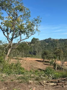 Terreno / Lote / Condomínio à venda, 1000m² no Saboó, São Roque