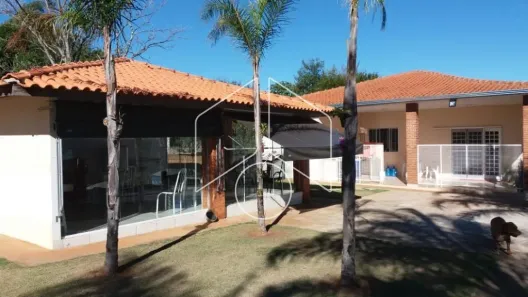 Fazenda / Sítio / Chácara com 3 Quartos para alugar, 5000m² no Sítios de Recreio Morada do Sol, Marília