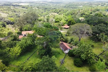 Fazenda / Sítio / Chácara à venda, 114000m² no Jardim Recreio, Conde