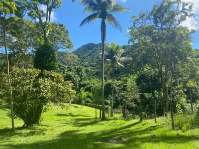 Fazenda / Sítio / Chácara com 4 Quartos à venda, 360000m² no Monumento, Piraí