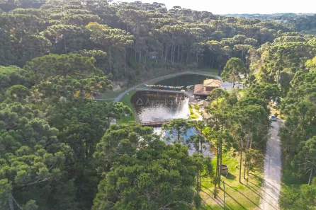 Fazenda / Sítio / Chácara à venda, 26000m² no Centro, Campina Grande do Sul