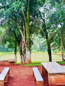 Fazenda / Sítio / Chácara com 2 Quartos à venda, 12000m² no Área Rural de Cascavel, Cascavel
