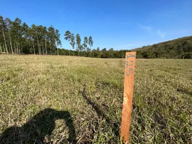 Fazenda / Sítio / Chácara com 3 Quartos à venda, 1000m² no , Alumínio