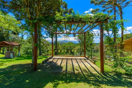 Fazenda / Sítio / Chácara com 2 Quartos à venda, 15000m² no Palmitalzinho, Quatro Barras