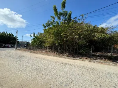 Terreno / Lote / Condomínio para alugar, 1139m² no Centro, Eusébio