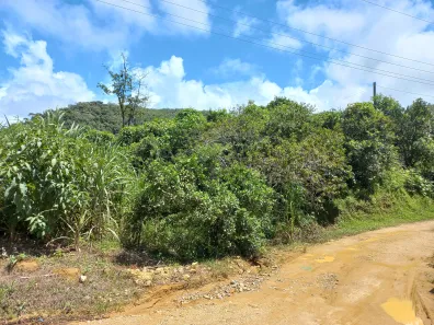 Terreno / Lote / Condomínio à venda, 3780m² no , Águas Mornas
