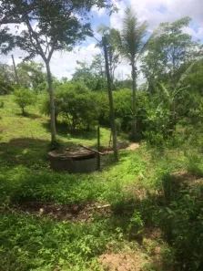 Fazenda / Sítio / Chácara com 4 Quartos à venda, 120000m² no , Aliança