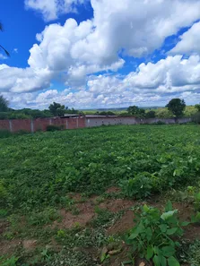 Fazenda / Sítio / Chácara com 3 Quartos à venda, 110000m² no Cobe de Cima, Vera Cruz